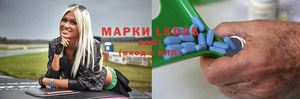 PSILOCYBIN Верхний Тагил