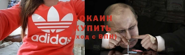 PSILOCYBIN Верхний Тагил