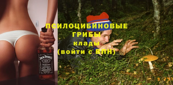 PSILOCYBIN Верхний Тагил