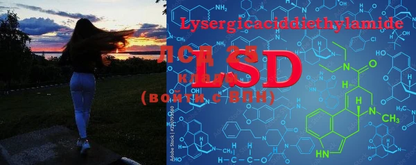 PSILOCYBIN Верхний Тагил